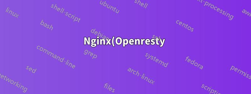 Nginx(Openresty) 프록시, 정적 파일에 사용자 정의 헤더 추가