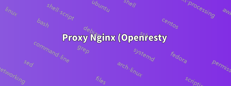 Proxy Nginx (Openresty), adicionando cabeçalhos personalizados a arquivos estáticos