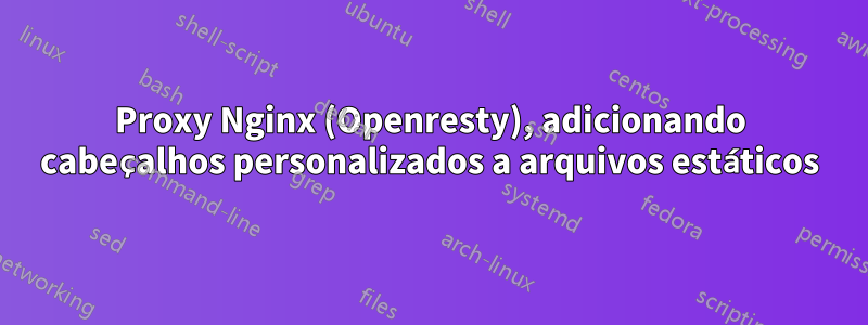 Proxy Nginx (Openresty), adicionando cabeçalhos personalizados a arquivos estáticos