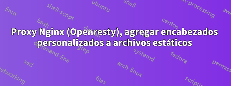 Proxy Nginx (Openresty), agregar encabezados personalizados a archivos estáticos