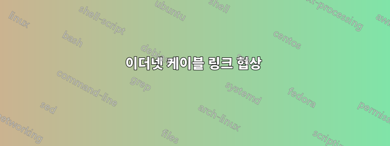 이더넷 케이블 링크 협상