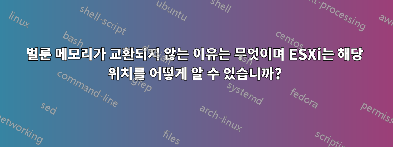 벌룬 메모리가 교환되지 않는 이유는 무엇이며 ESXi는 해당 위치를 어떻게 알 수 있습니까?