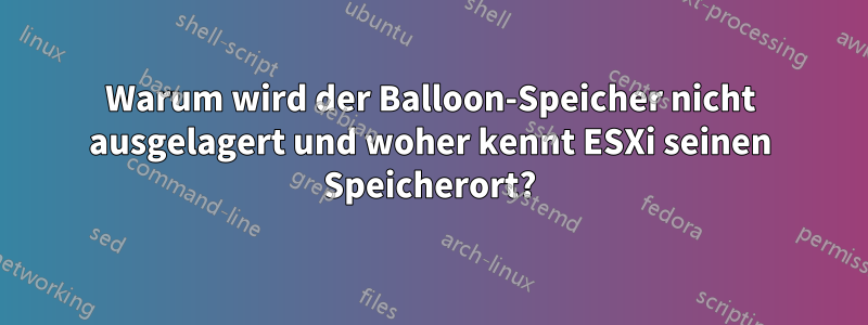 Warum wird der Balloon-Speicher nicht ausgelagert und woher kennt ESXi seinen Speicherort?