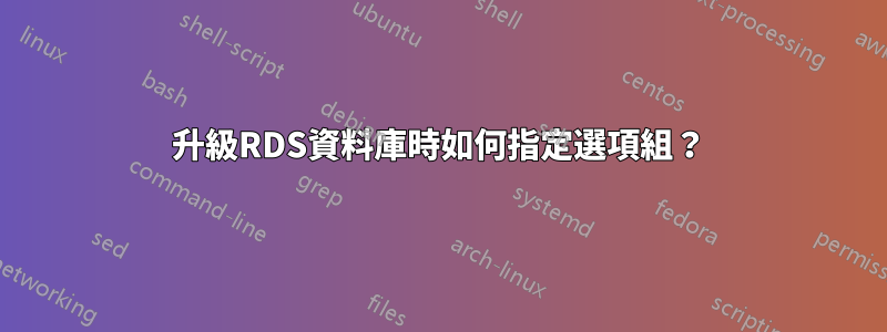 升級RDS資料庫時如何指定選項組？