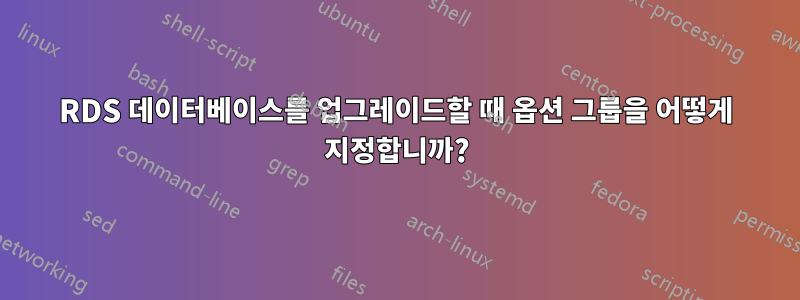RDS 데이터베이스를 업그레이드할 때 옵션 그룹을 어떻게 지정합니까?