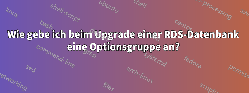 Wie gebe ich beim Upgrade einer RDS-Datenbank eine Optionsgruppe an?