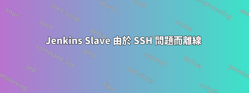 Jenkins Slave 由於 SSH 問題而離線