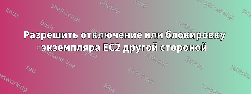 Разрешить отключение или блокировку экземпляра EC2 другой стороной