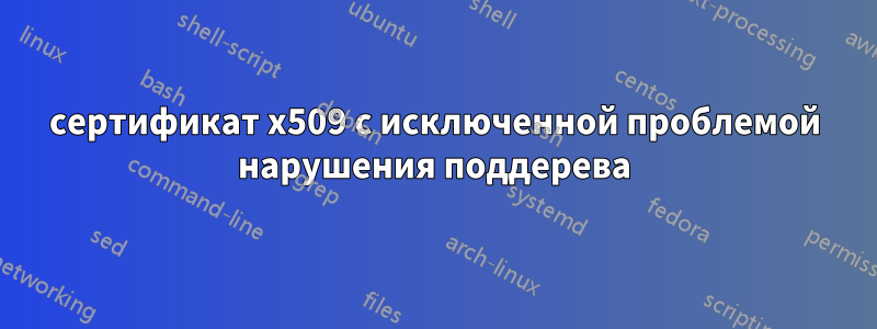сертификат x509 с исключенной проблемой нарушения поддерева