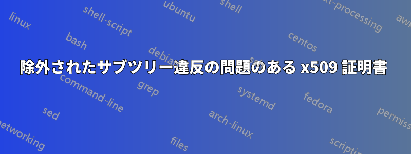 除外されたサブツリー違反の問題のある x509 証明書