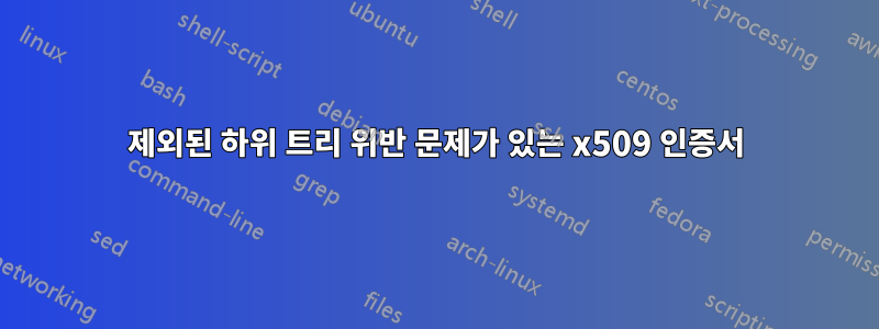 제외된 하위 트리 위반 문제가 있는 x509 인증서