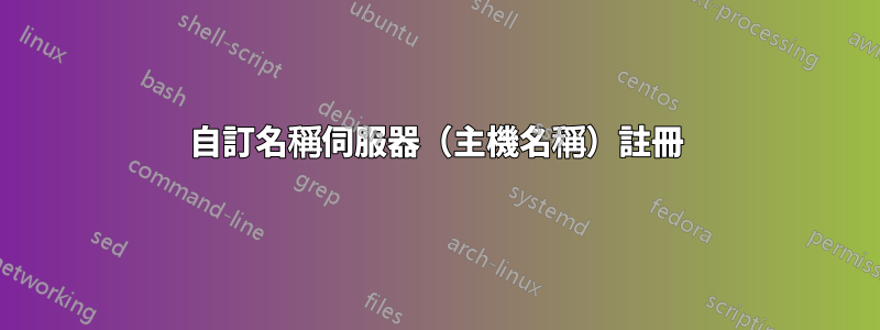 自訂名稱伺服器（主機名稱）註冊