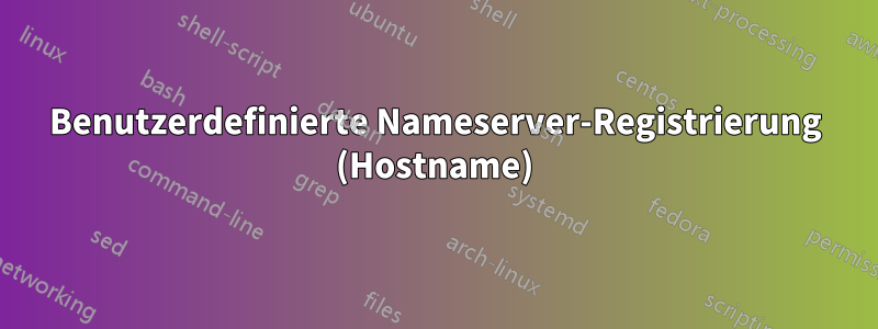 Benutzerdefinierte Nameserver-Registrierung (Hostname)