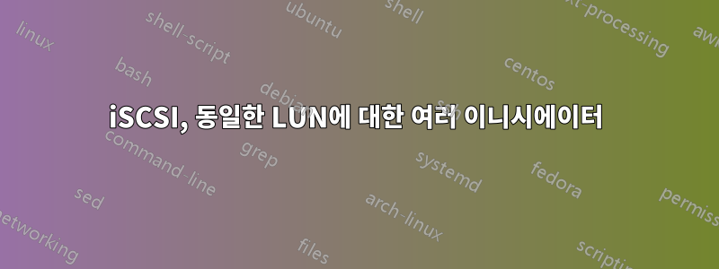 iSCSI, 동일한 LUN에 대한 여러 이니시에이터