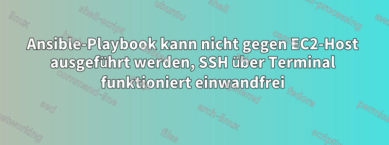 Ansible-Playbook kann nicht gegen EC2-Host ausgeführt werden, SSH über Terminal funktioniert einwandfrei
