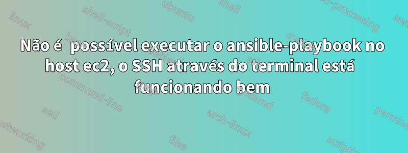 Não é possível executar o ansible-playbook no host ec2, o SSH através do terminal está funcionando bem