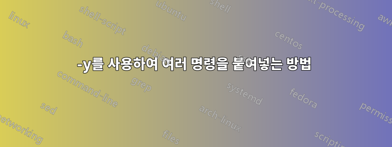 -y를 사용하여 여러 명령을 붙여넣는 방법