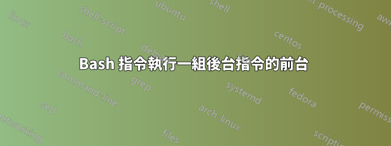 Bash 指令執行一組後台指令的前台