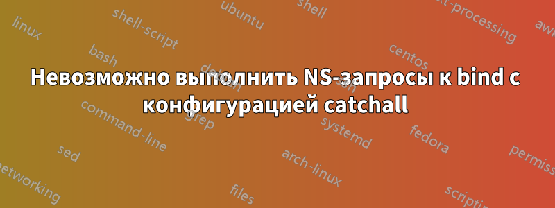 Невозможно выполнить NS-запросы к bind с конфигурацией catchall