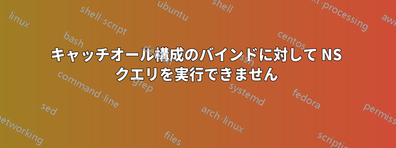 キャッチオール構成のバインドに対して NS クエリを実行できません