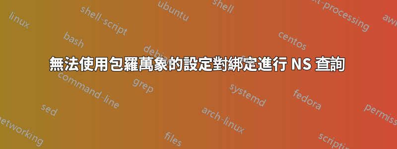 無法使用包羅萬象的設定對綁定進行 NS 查詢