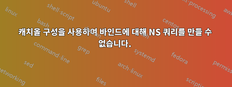 캐치올 구성을 사용하여 바인드에 대해 NS 쿼리를 만들 수 없습니다.