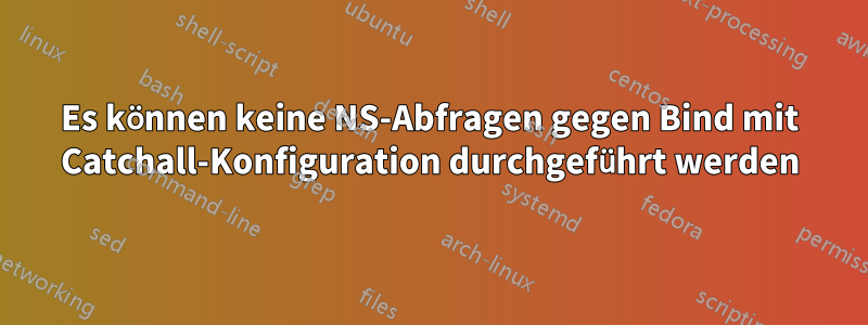 Es können keine NS-Abfragen gegen Bind mit Catchall-Konfiguration durchgeführt werden