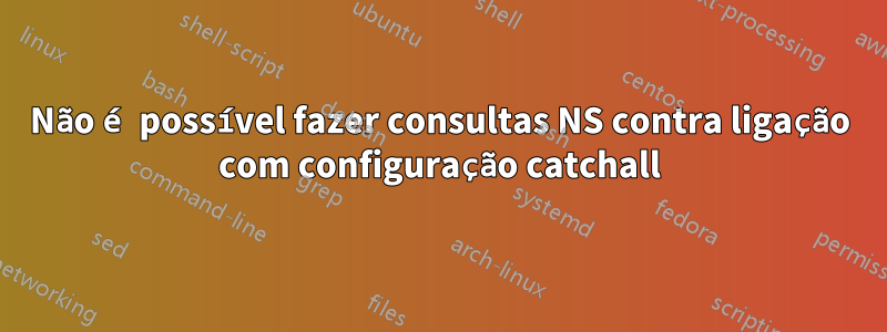 Não é possível fazer consultas NS contra ligação com configuração catchall