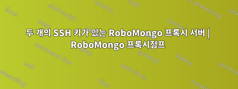 두 개의 SSH 키가 있는 RoboMongo 프록시 서버 | RoboMongo 프록시점프