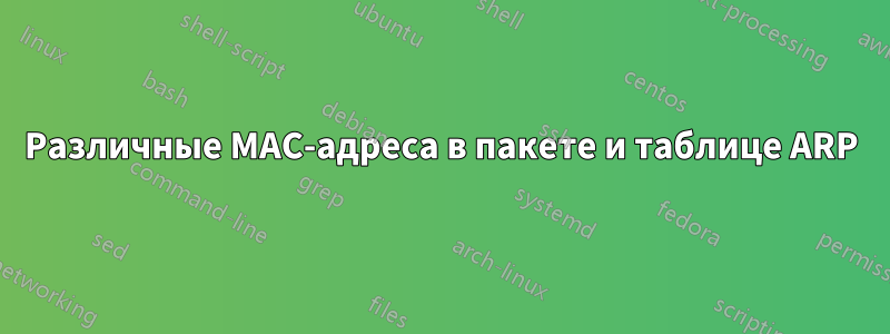 Различные MAC-адреса в пакете и таблице ARP