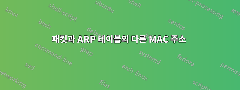 패킷과 ARP 테이블의 다른 MAC 주소