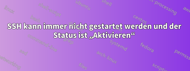 SSH kann immer nicht gestartet werden und der Status ist „Aktivieren“