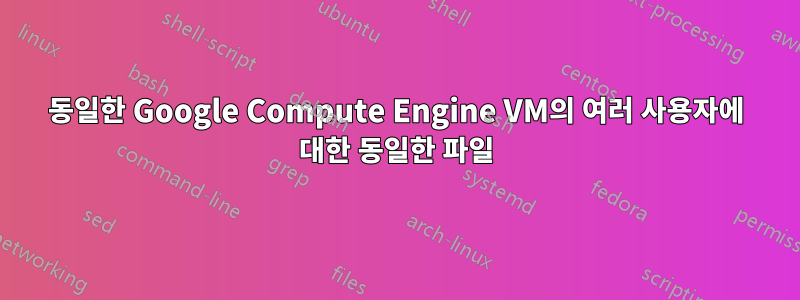 동일한 Google Compute Engine VM의 여러 사용자에 대한 동일한 파일