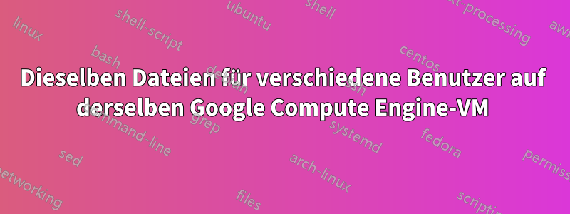 Dieselben Dateien für verschiedene Benutzer auf derselben Google Compute Engine-VM