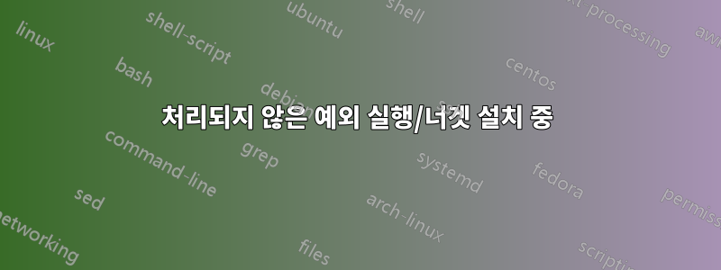 처리되지 않은 예외 실행/너겟 설치 중
