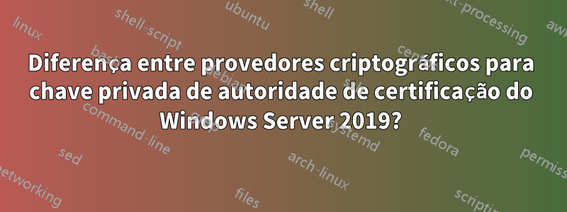 Diferença entre provedores criptográficos para chave privada de autoridade de certificação do Windows Server 2019?