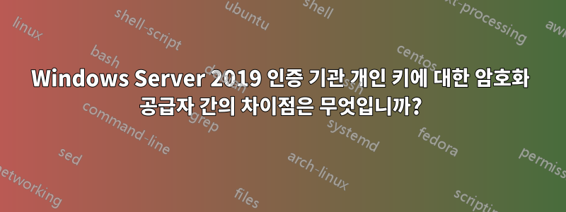 Windows Server 2019 인증 기관 개인 키에 대한 암호화 공급자 간의 차이점은 무엇입니까?