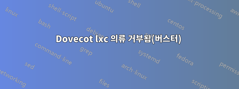 Dovecot lxc 의류 거부됨(버스터)