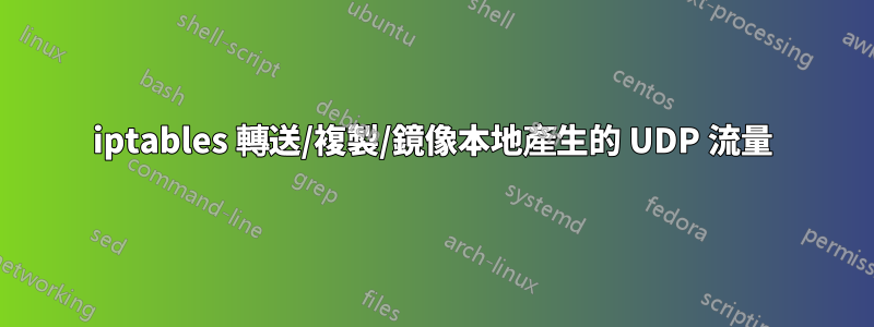 iptables 轉送/複製/鏡像本地產生的 UDP 流量