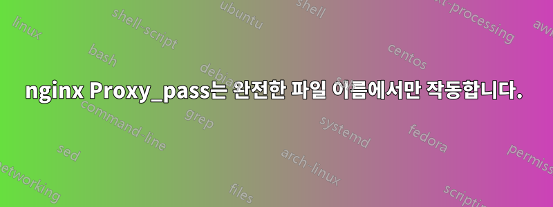 nginx Proxy_pass는 완전한 파일 이름에서만 작동합니다.