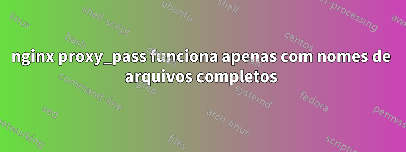 nginx proxy_pass funciona apenas com nomes de arquivos completos