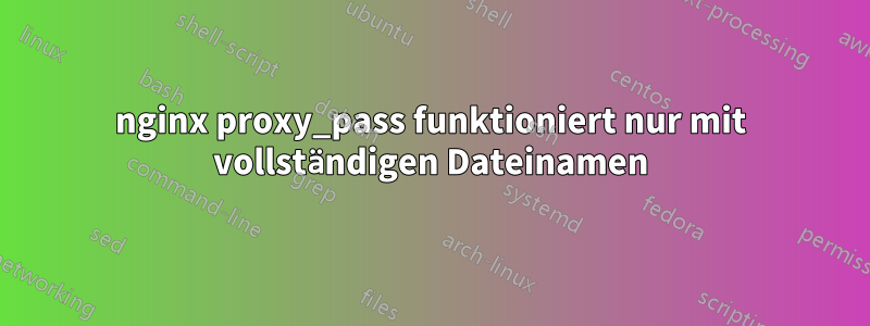 nginx proxy_pass funktioniert nur mit vollständigen Dateinamen