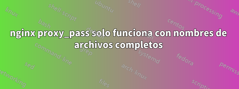 nginx proxy_pass solo funciona con nombres de archivos completos