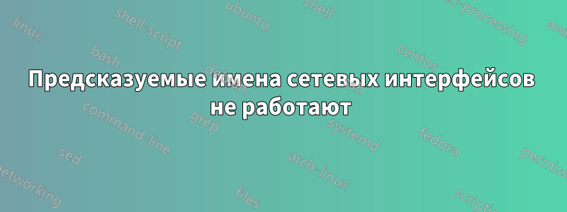 Предсказуемые имена сетевых интерфейсов не работают