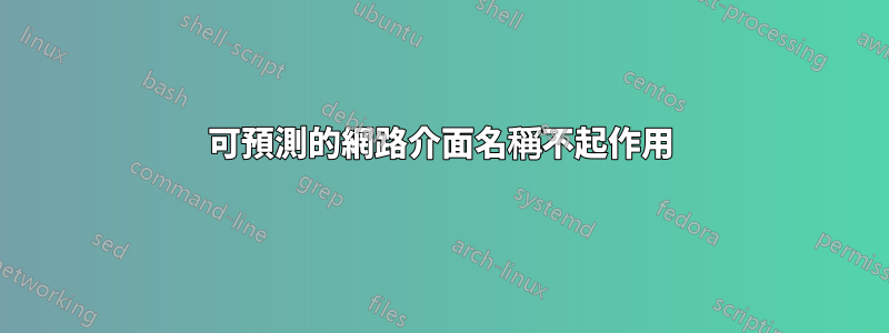 可預測的網路介面名稱不起作用