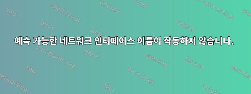 예측 가능한 네트워크 인터페이스 이름이 작동하지 않습니다.