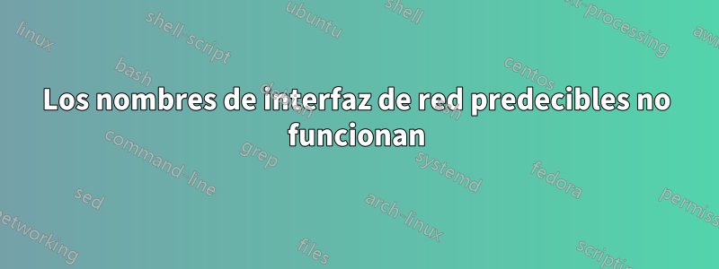 Los nombres de interfaz de red predecibles no funcionan