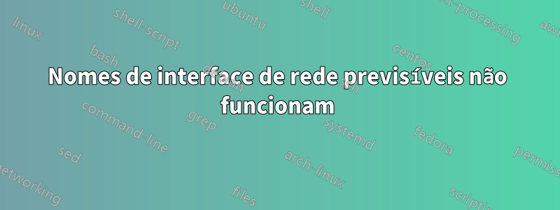 Nomes de interface de rede previsíveis não funcionam