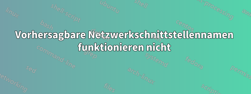 Vorhersagbare Netzwerkschnittstellennamen funktionieren nicht