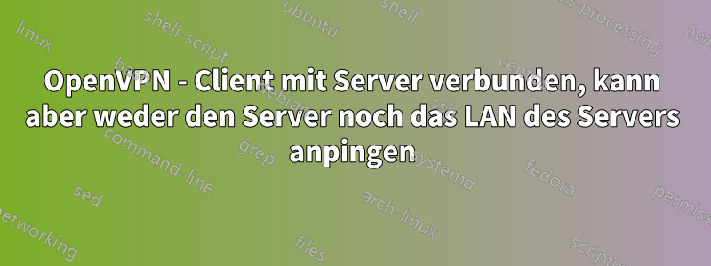 OpenVPN - Client mit Server verbunden, kann aber weder den Server noch das LAN des Servers anpingen